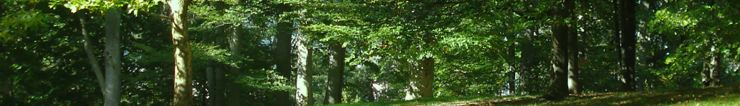 bulgaria porn videos live gay porno all those sites